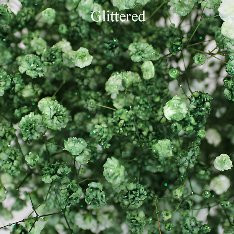 Olive Green Tinted Baby's Breath Flower