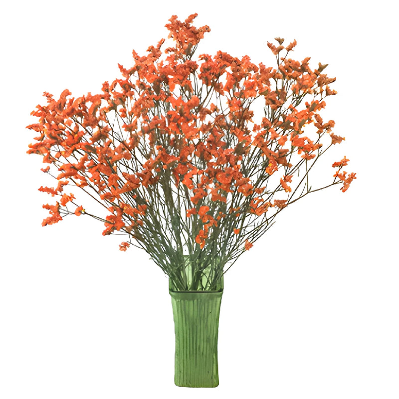 Orange Airbrushed Limonium Flowers
