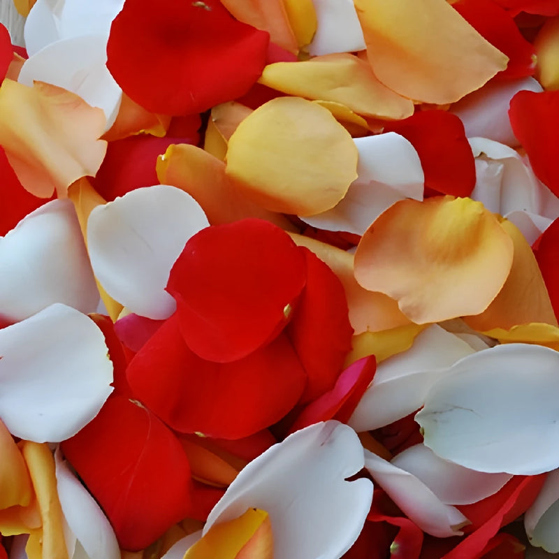 Fall Wedding Fresh Roses Petals