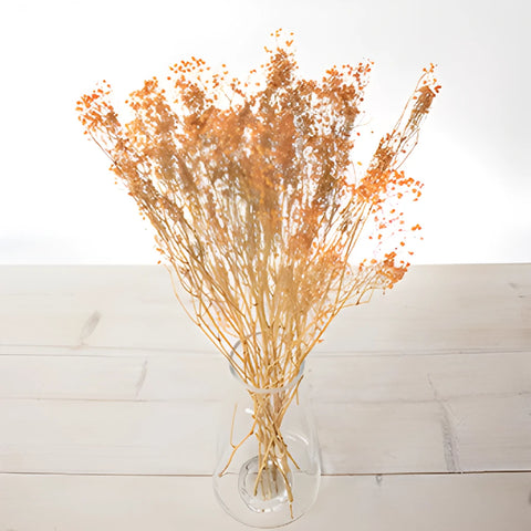Orange Dried Baby's Breath Flower