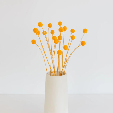 Orange Dried Craspedia Billy Ball Vase - Image
