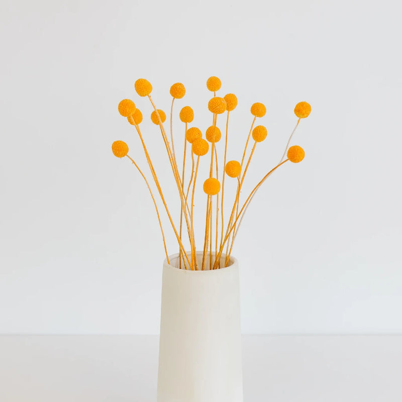 Orange Dried Craspedia Billy Ball Vase - Image