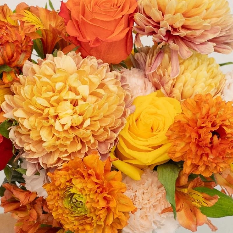 Orange Harvest Diy Flower Kit Recipe - Image