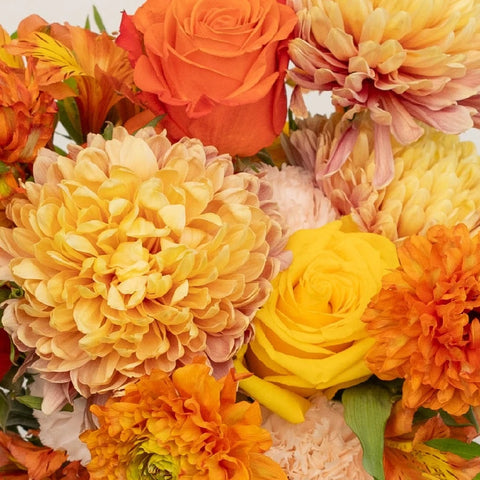 Orange Harvest Fall Flower Bouquet Close Up - Image