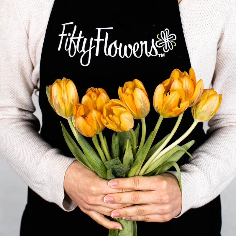 Orange Purple Tulip Flower Bunch in Hand