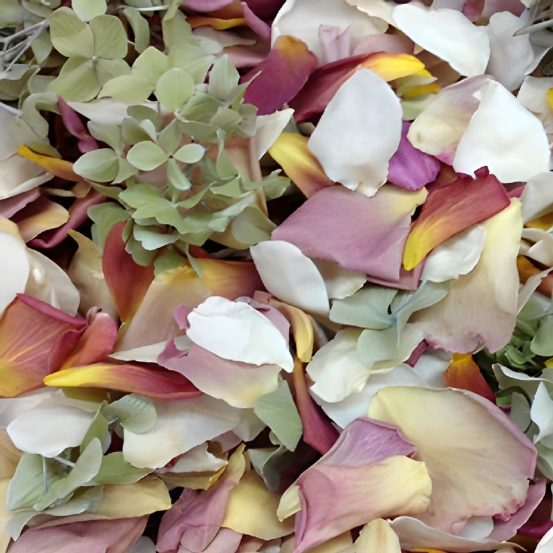 Outdoor freeze Dried Rose Petals