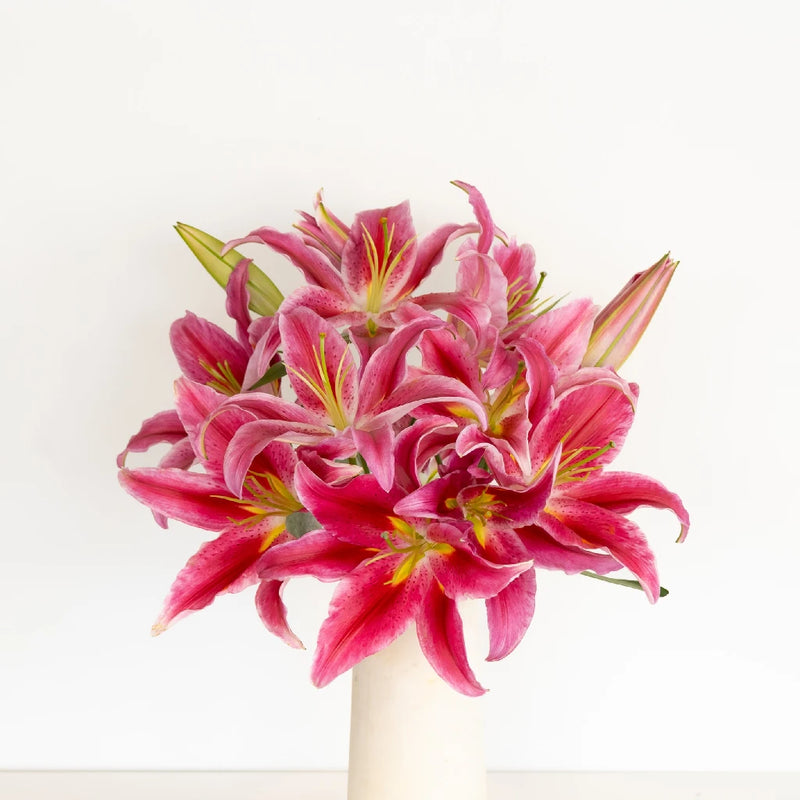 Paradise Pink Bacardi Oriental Lily Vase - Image