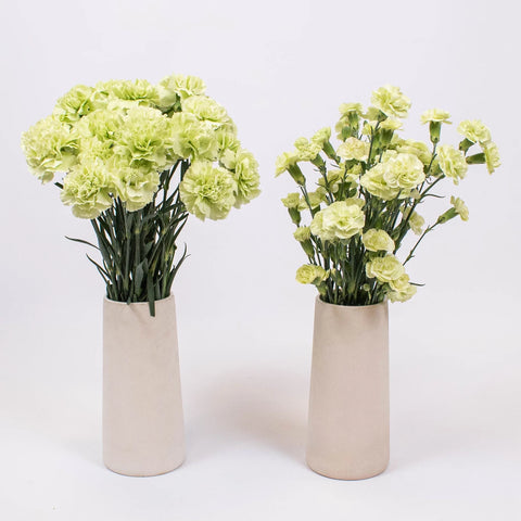Light Green Flower Kit Recipe