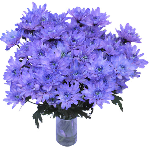 Pastel Purple Tinted Flower