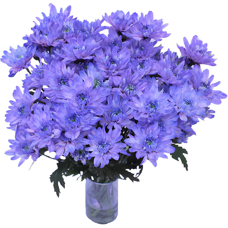 Pastel Purple Tinted Flower
