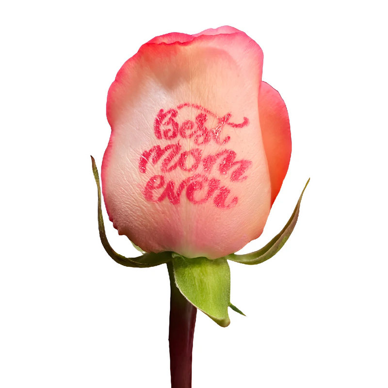 Best Mom Ever Personalized Roses Close Up - Image