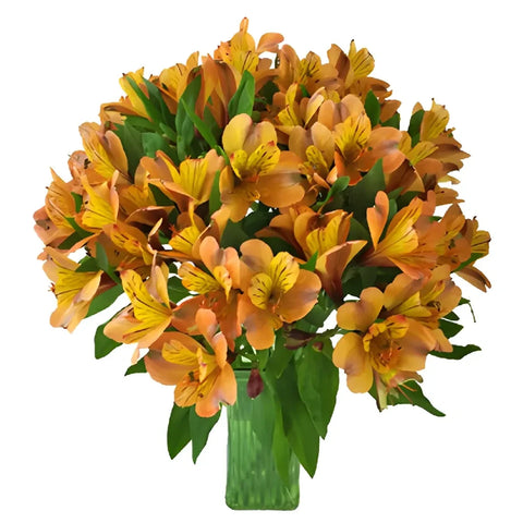 Pea Pod Orange Alstroemeria Flowers Vase - Image