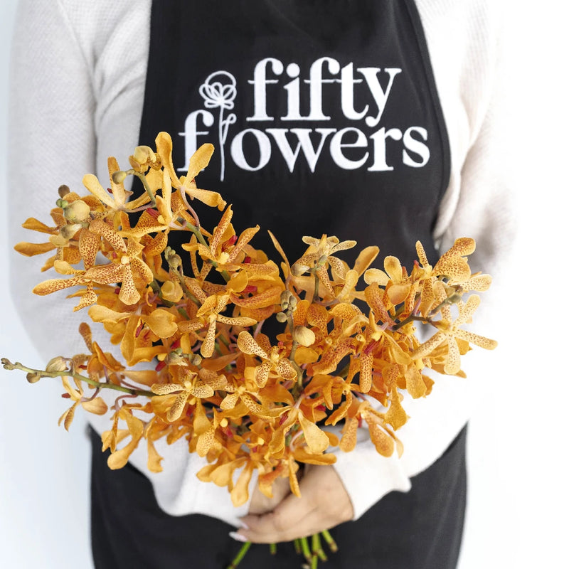 Peach Schnapps Mokara Orchid Apron - Image