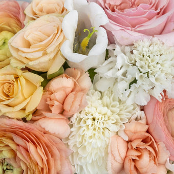Peach Sorbet Diy Flower Kit Close Up - Image