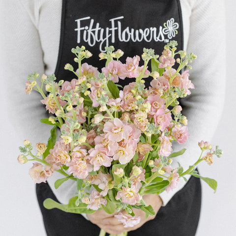 Peach Spray Stock Flowers Apron - Image