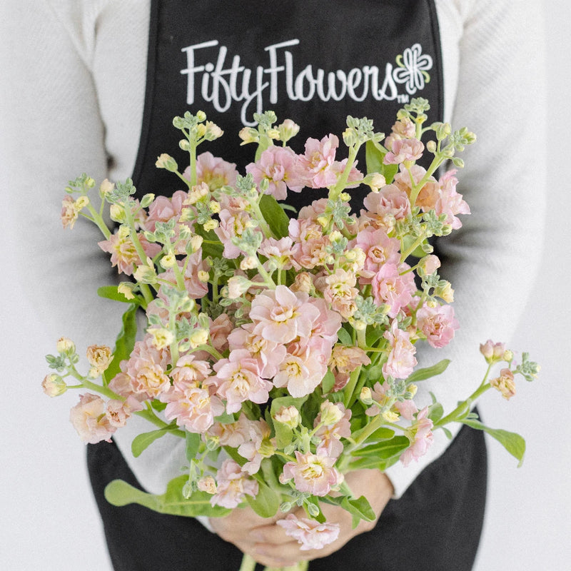 Peach Spray Stock Flowers Apron - Image