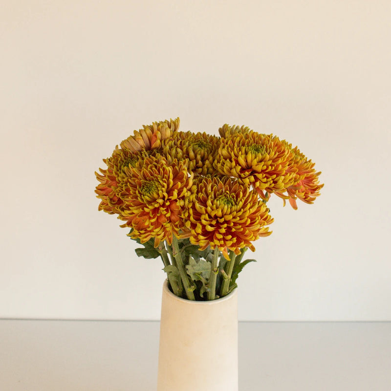 Cremon Rosanno Elizabeth Vase - Image