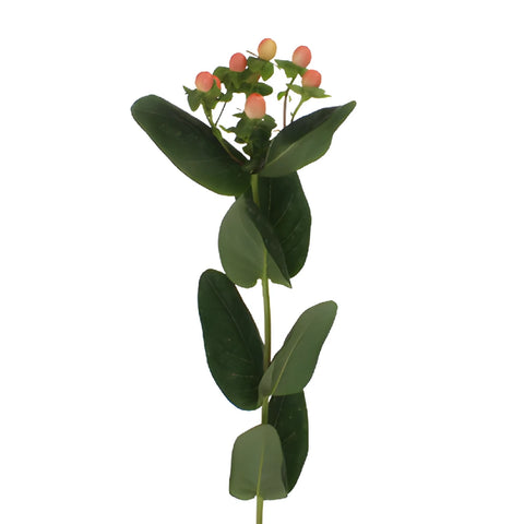 Peaches Designer Hypericum Berries