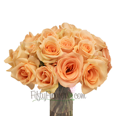 Perfect Peach Alejandra Rose