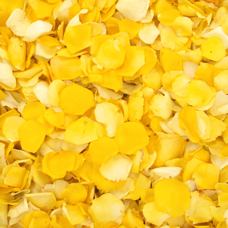 Petite Yellow Dried Rose Petals