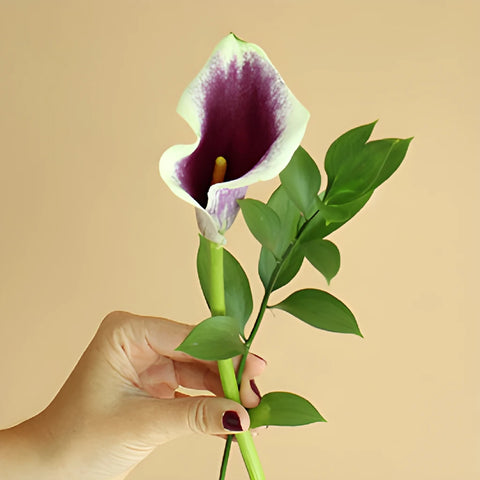 Picasso Mini Calla Lily Centerpieces