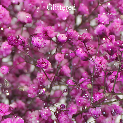 Pink Airbrushed Baby's Breath Flower