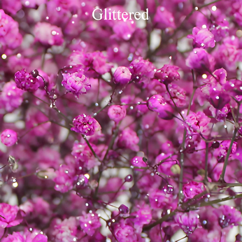 Pink Airbrushed Baby's Breath Flower