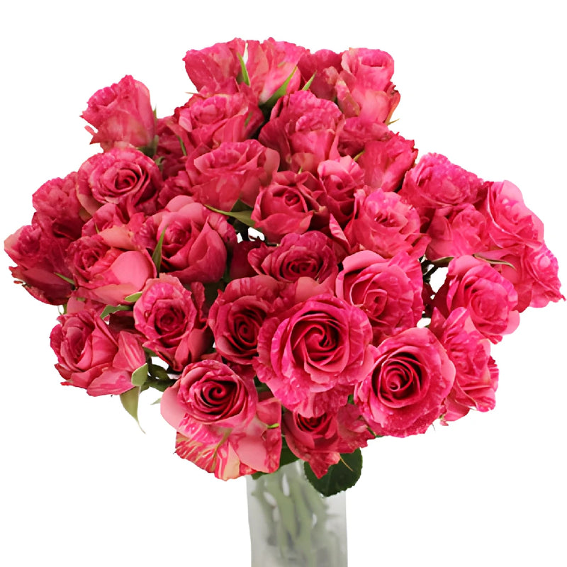 Pink Candy Striped Petite Spray Roses