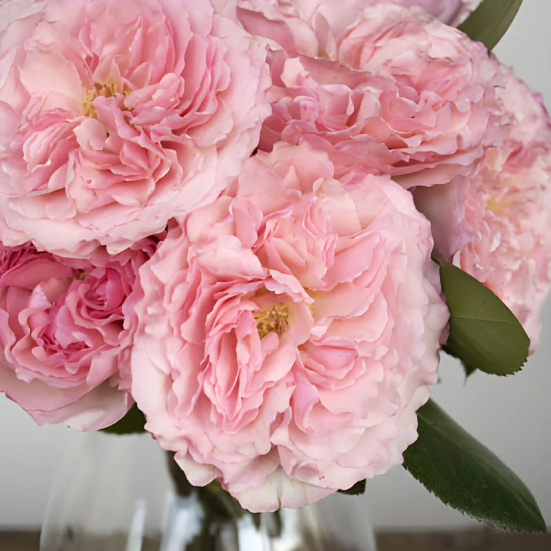 Pink Champagne Mayra Rose Bouquet