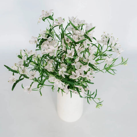 Pink Delphinium Flower Bunch in Vase