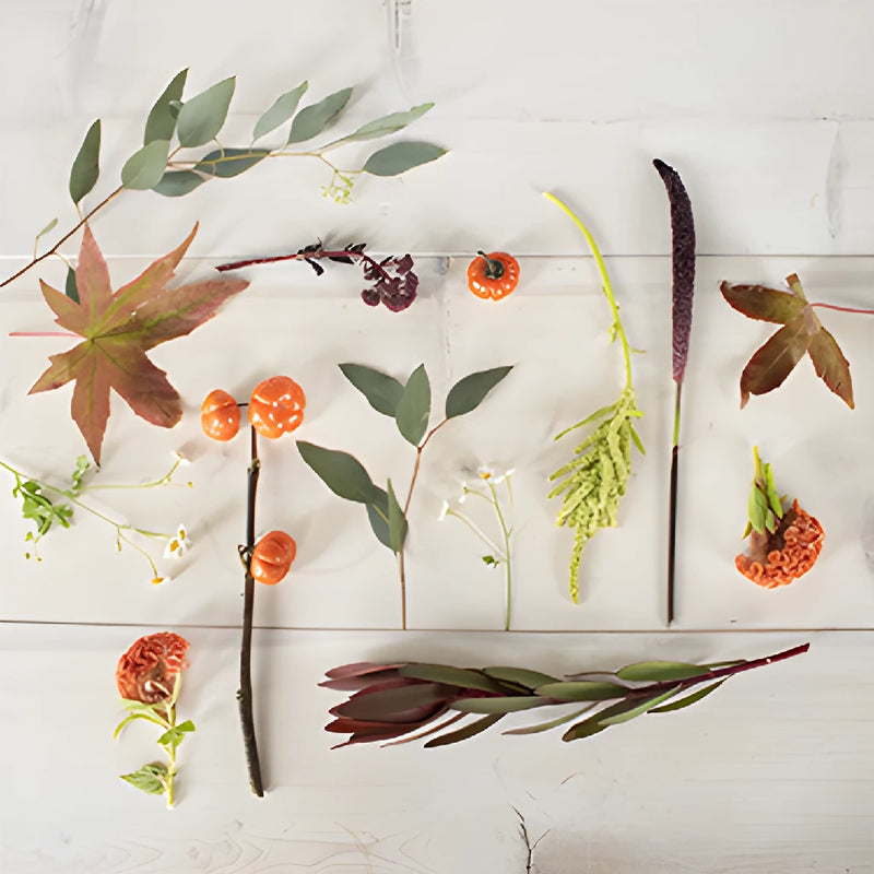 Pumpkin Fall Flowers DIY Flower Kit Flatlay