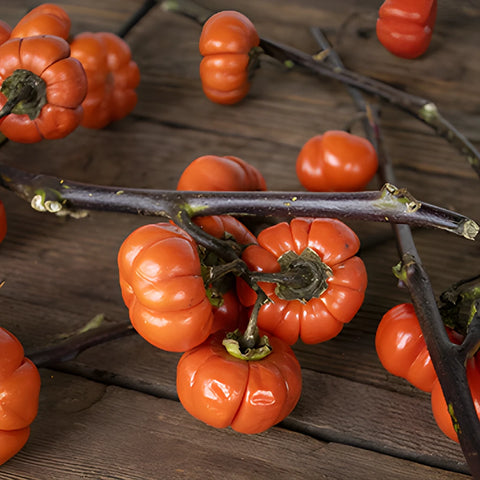 Pumpkin Tree Branches