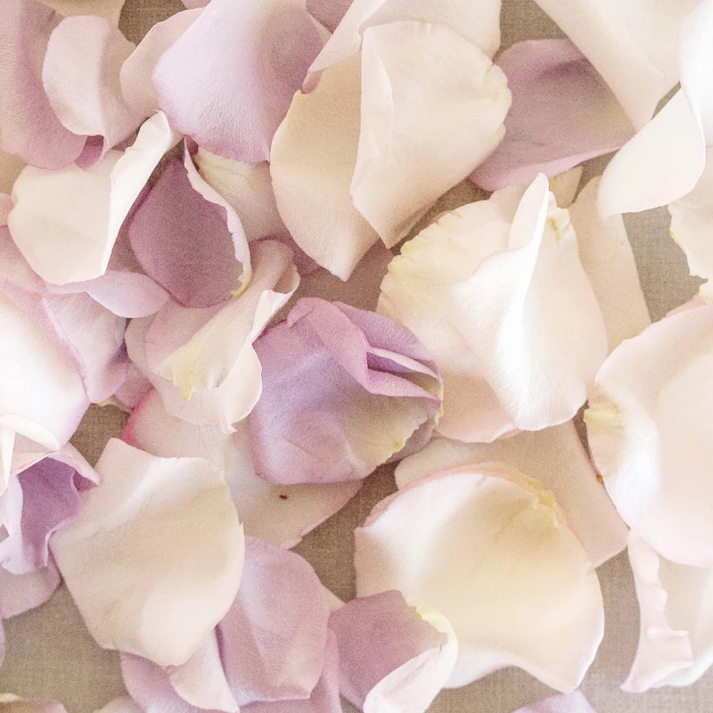 Purple And Pink Bulk Rose Petals Close Up - Image