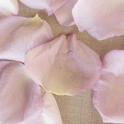 Purple And Pink Bulk Rose Petals Stem - Image