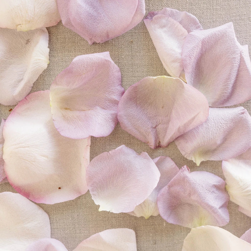 Purple And Pink Bulk Rose Petals Vase - Image
