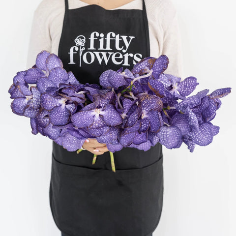 Purple Bicolor Vanda Orchid Flower Apron - Image