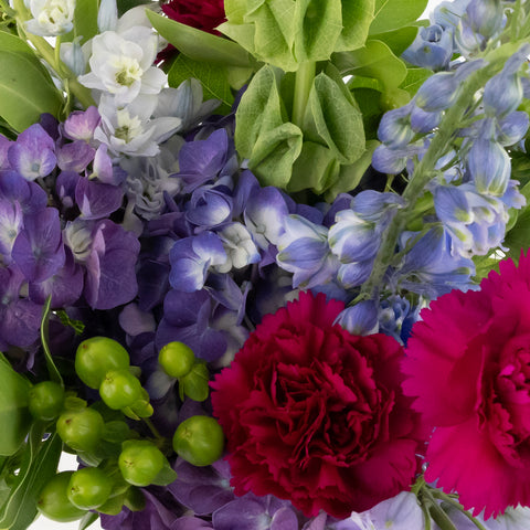 Purple Blooming Spring Diy Flower Kit Close Up - Image