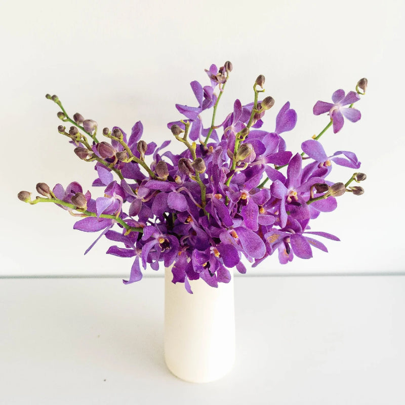 Purple Bulk Mokara Orchids Vase - Image