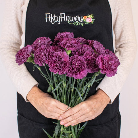 Purple Carnation Flower Bunch in Hand