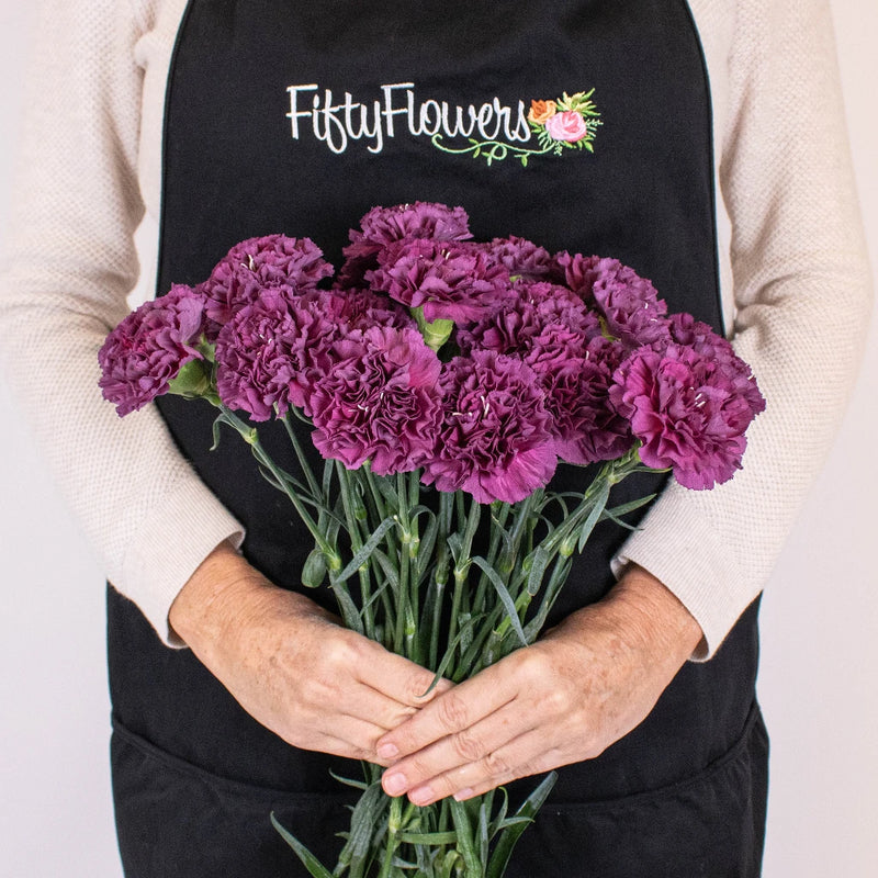 Purple Carnation Flower Bunch in Hand