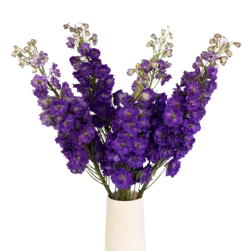 Purple Designer Delphinium Flower Vase - Image