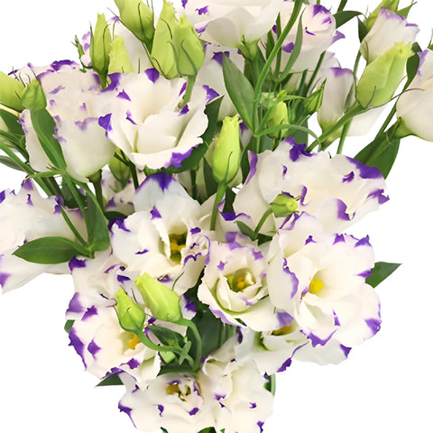 Purple Dot Lisianthus Wedding Flower Apron - Image