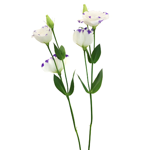 Purple Dot Lisianthus Wedding Flower Stem - Image