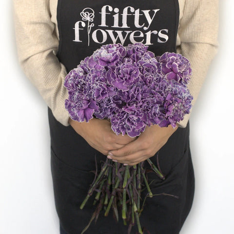 Purple Dyed Wholesale Carnation Flowers Apron - Image