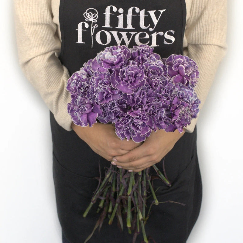 Purple Dyed Wholesale Carnation Flowers Apron - Image