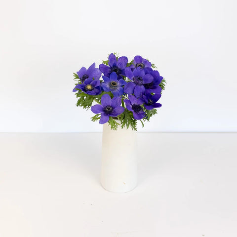 Purple Fresh Cut Anemone Flower Vase - Image