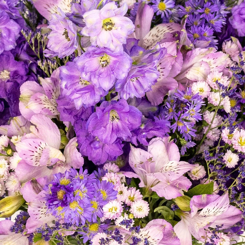 Purple Magic Diy Flower Kit Close Up - Image