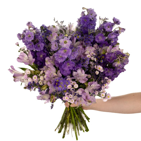 Purple Magic Diy Flower Kit Hand - Image