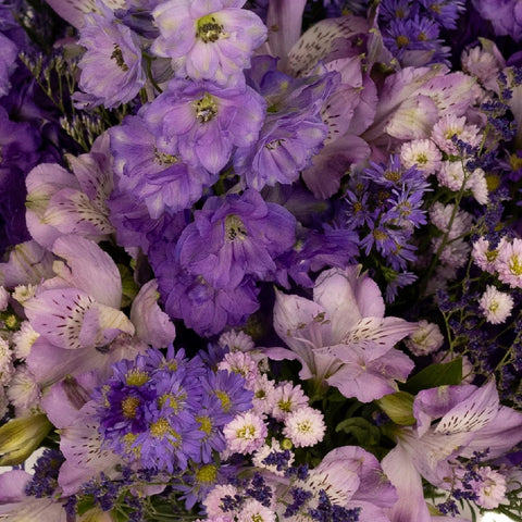 Purple Magic Flower Bouquet Bar Close Up - Image