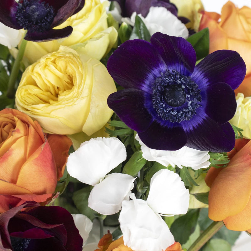 Purple and Orange Wholesale Flower Bouquet In a Hand
